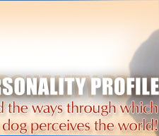 Canine Personality Profile